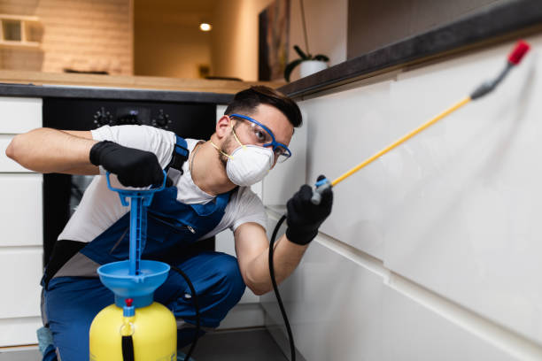 Best Commercial Pest Control Services  in El Macero, CA