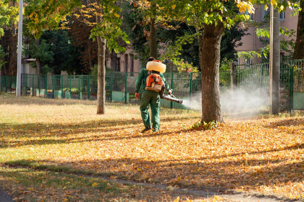 Insect Control in El Macero, CA