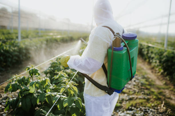 Best Pest Prevention Services  in El Macero, CA